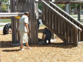 Egg Hunt